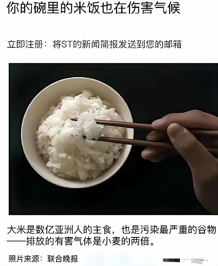 把大米归咎成污染最严重的稻谷把手抓饭讲成有滋有味饭菜更香 