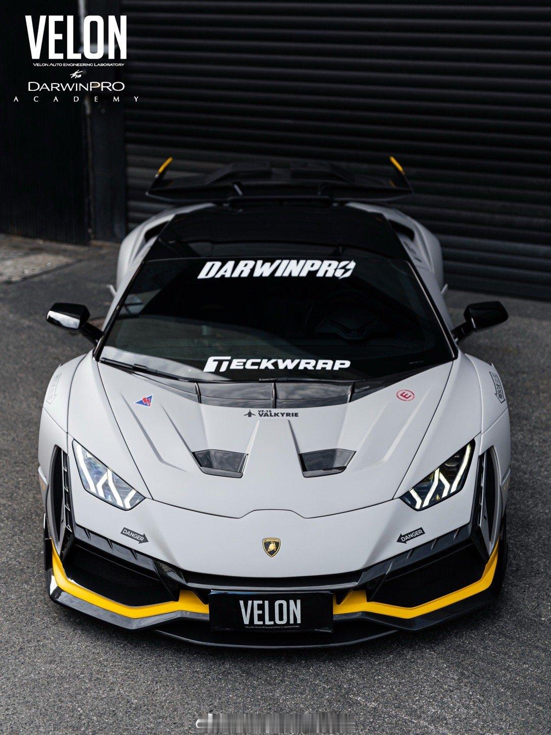VELON Laboratory 🔬DarwinPRO ACADEMYLamb