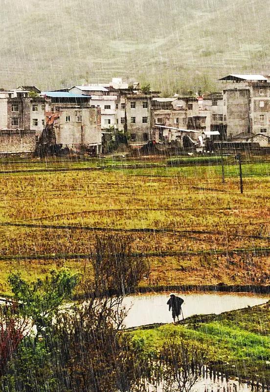 读了馨漪婉风的这首《七绝•春乡喜雨》，我一下子就沉浸在了生机盎然的春日乡村之中。