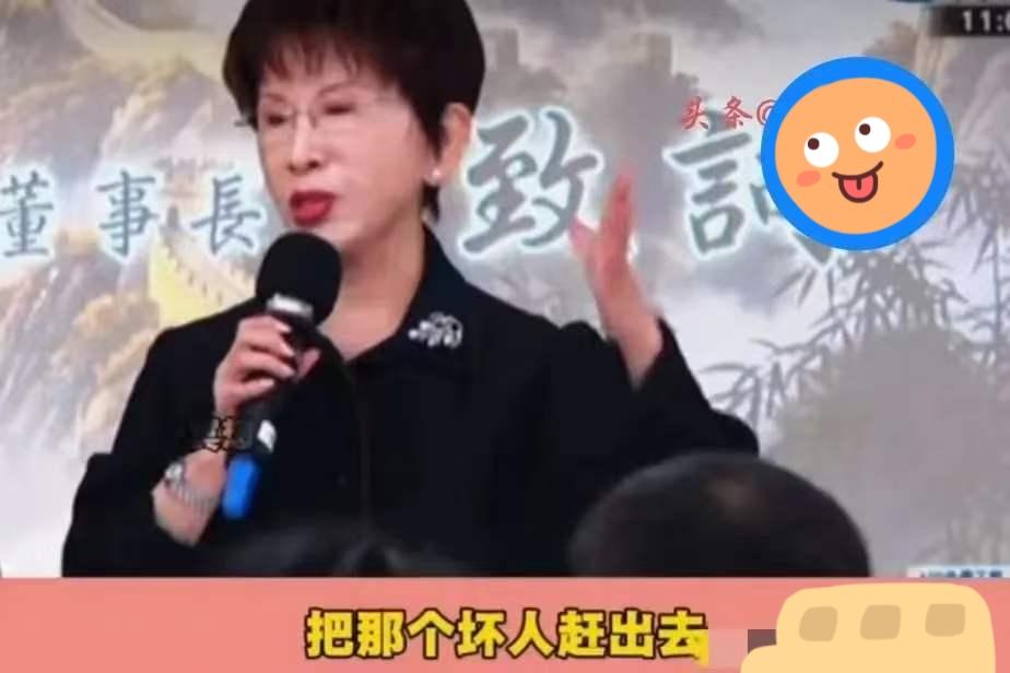“把那个坏人赶出去！”洪秀柱今天（5月3日）上午出席侯汉廷新书发布会时直言，“这