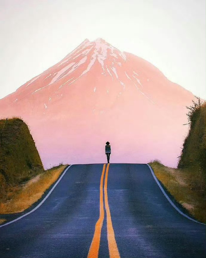 我们大多数的人终其一生，不过苟且二字。所谓风光，不过苟且有术；所谓坎坷，不过苟且