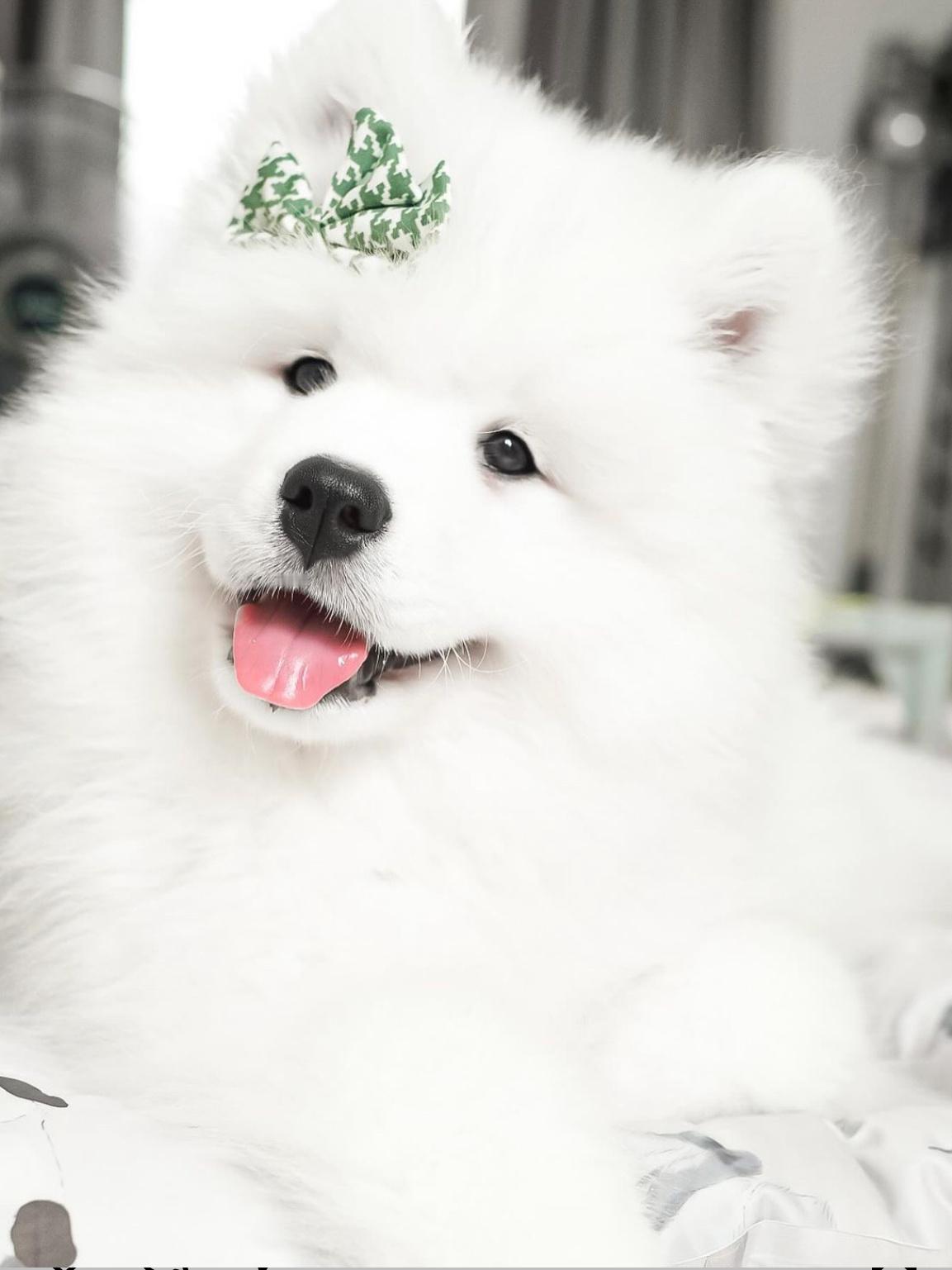 看！麻麻给我新买的发夹！ ​​​