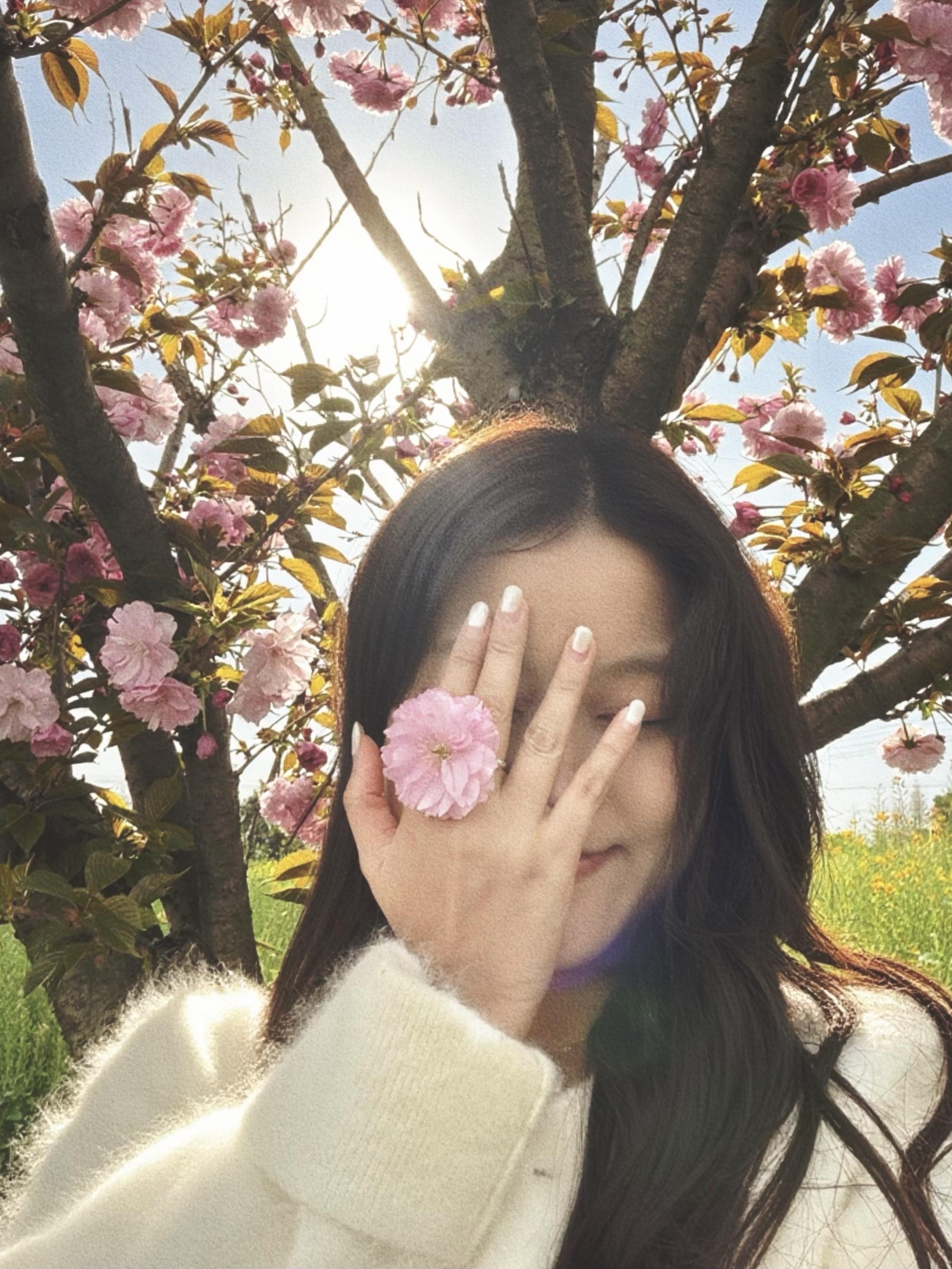 🌸前奏是心动的声音