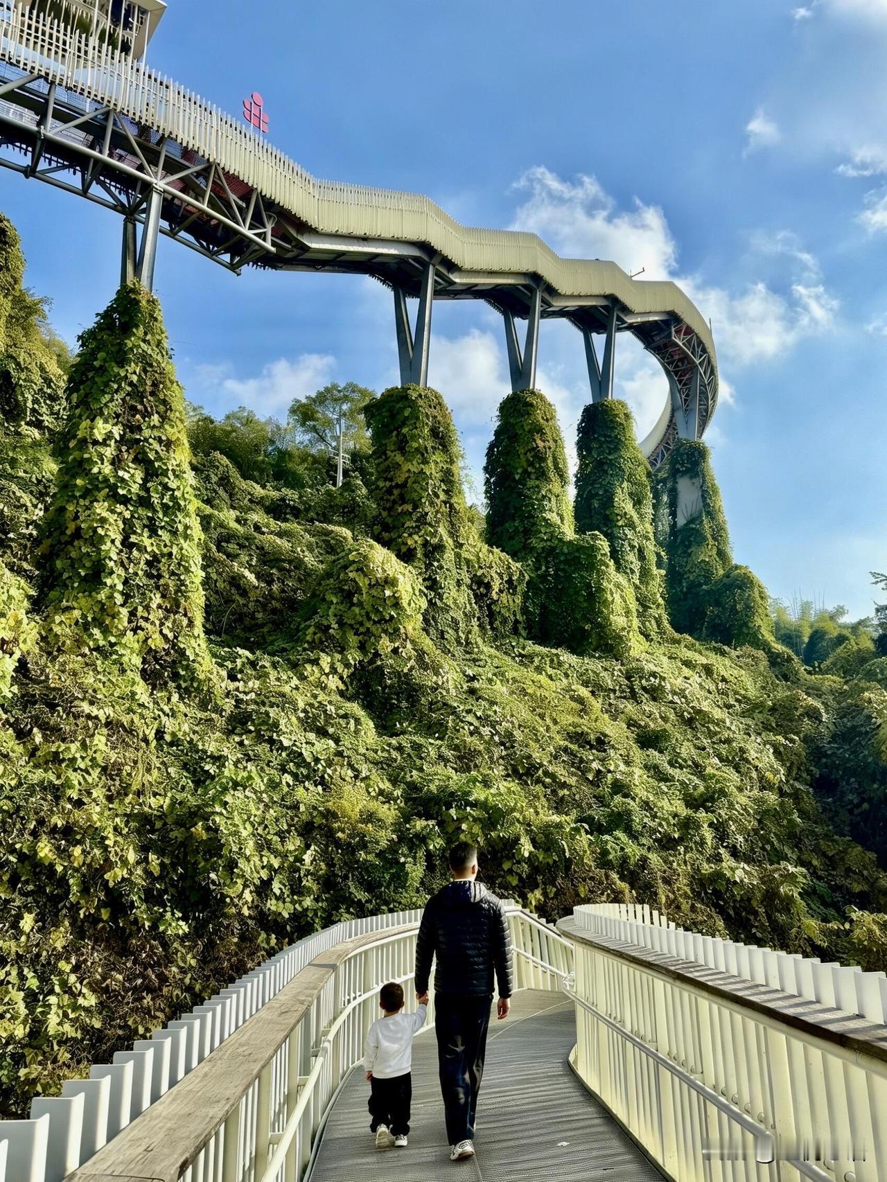 成都宝妈必冲！
龙泉山亲子徒步真的封神！
冬日带娃晒太阳，这条路线太友好了！
高