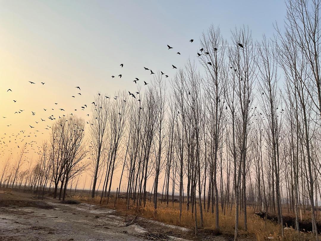 桑兰瘫痪27年了，生活完全依赖他人。喝水、吃饭、盖被子、穿衣服，全都要别人帮忙。