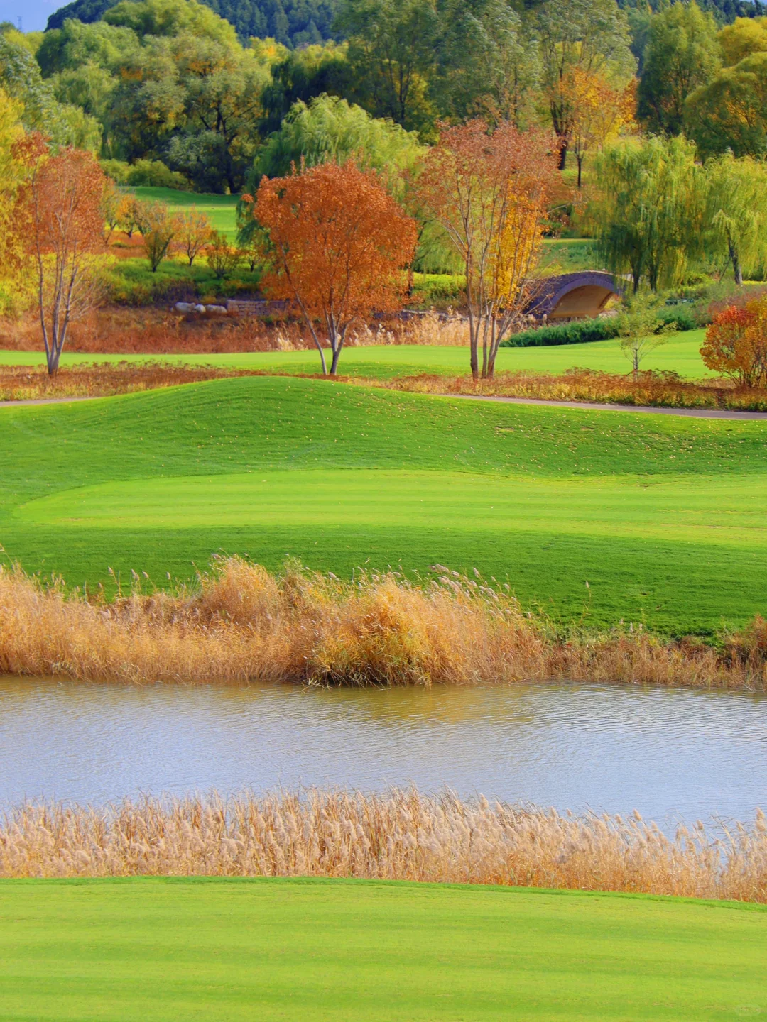 原来雁栖湖下道才是绝美赏秋地，附地图➕实况