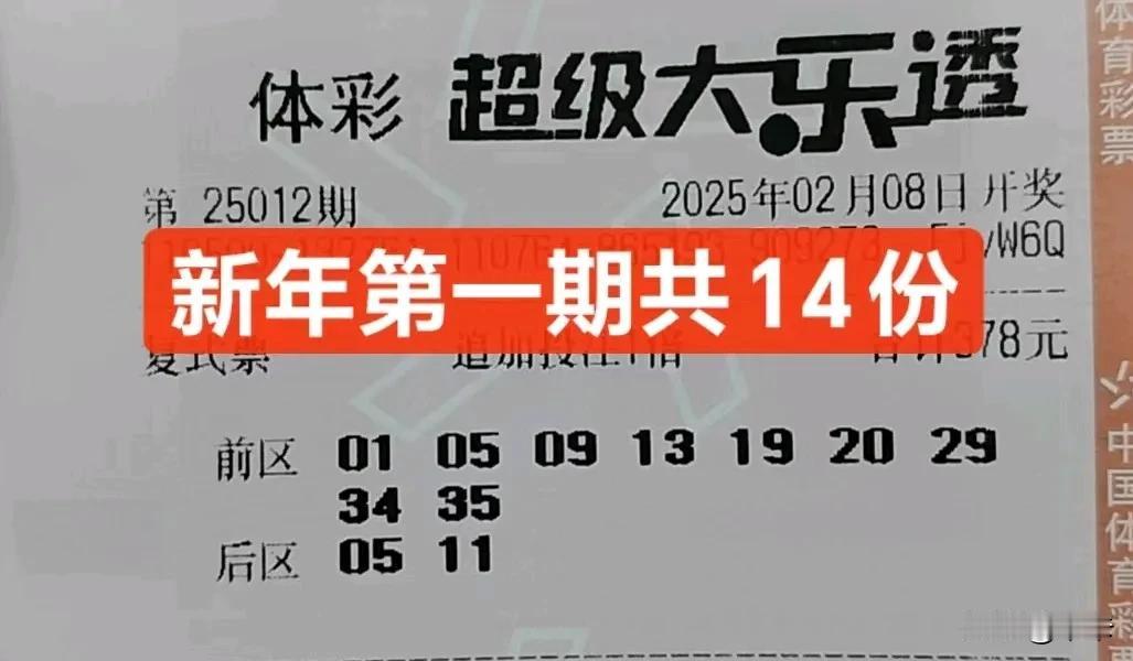 2025新年实票第一期彩票分享生活