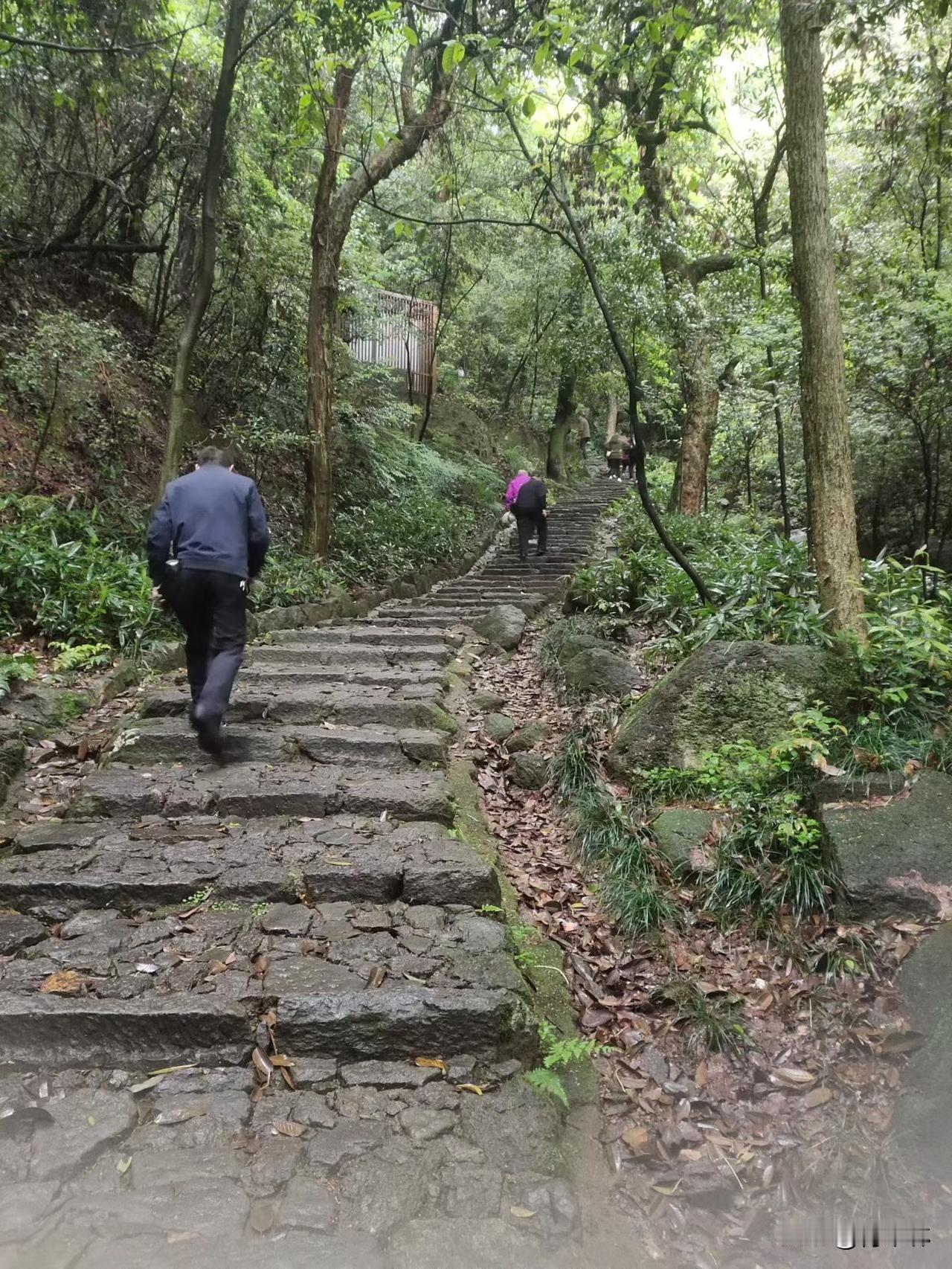 生活难免疲惫难熬，一地鸡毛也是日常。别为难自己，不必事事强求，工作中也不用和别人