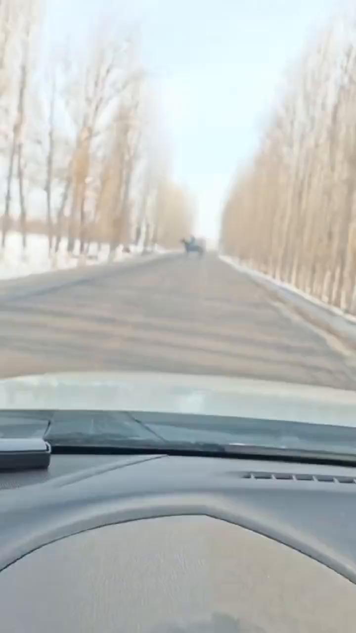 这波操作都看傻了。