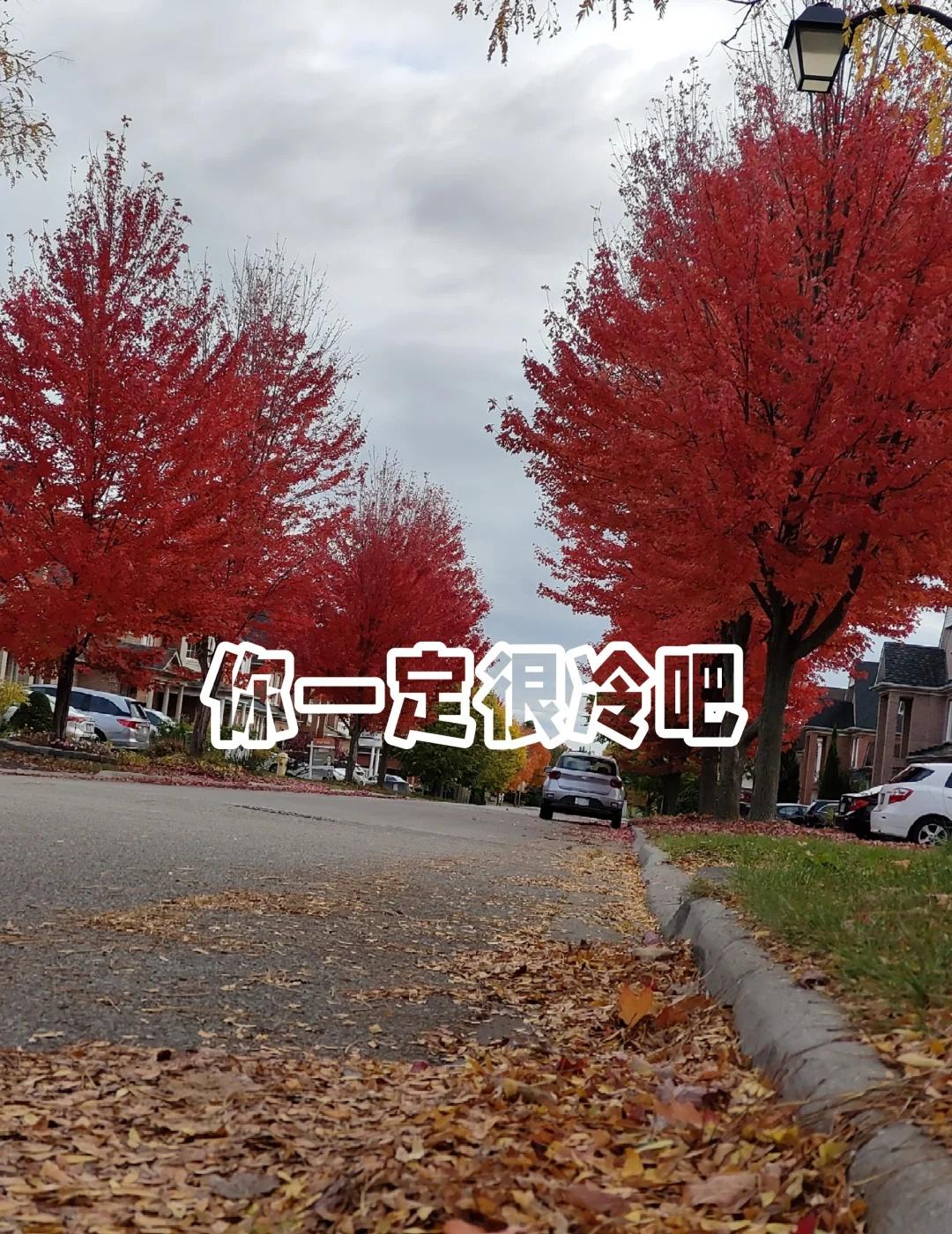 云南多少度？
救救孩子 南方比北方冷 南方气温将再下一个台阶 南方的冷是魔法攻击