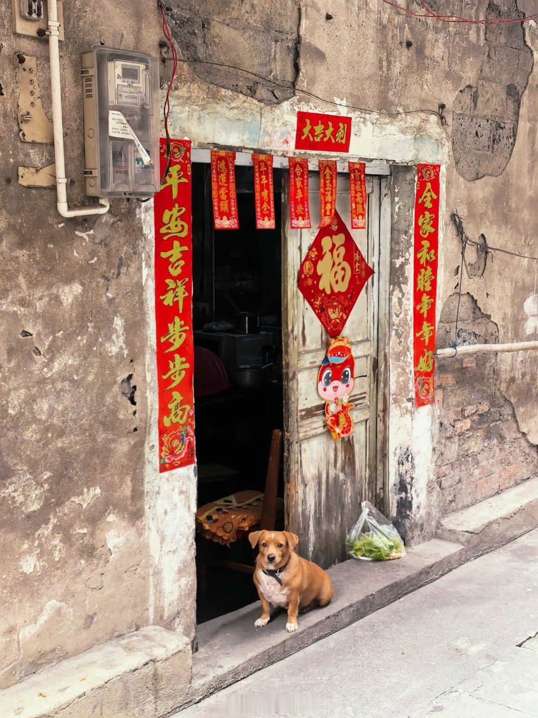 吃完螺蛳粉在柳州市区漫无目的地闲逛，穿过几个老小区时，不经意发现不少人家都安了充