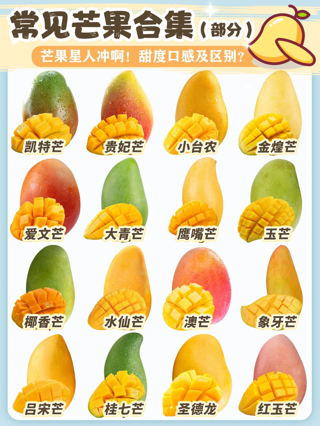 16种常见芒果🔥甜度口感及品种介绍‼️