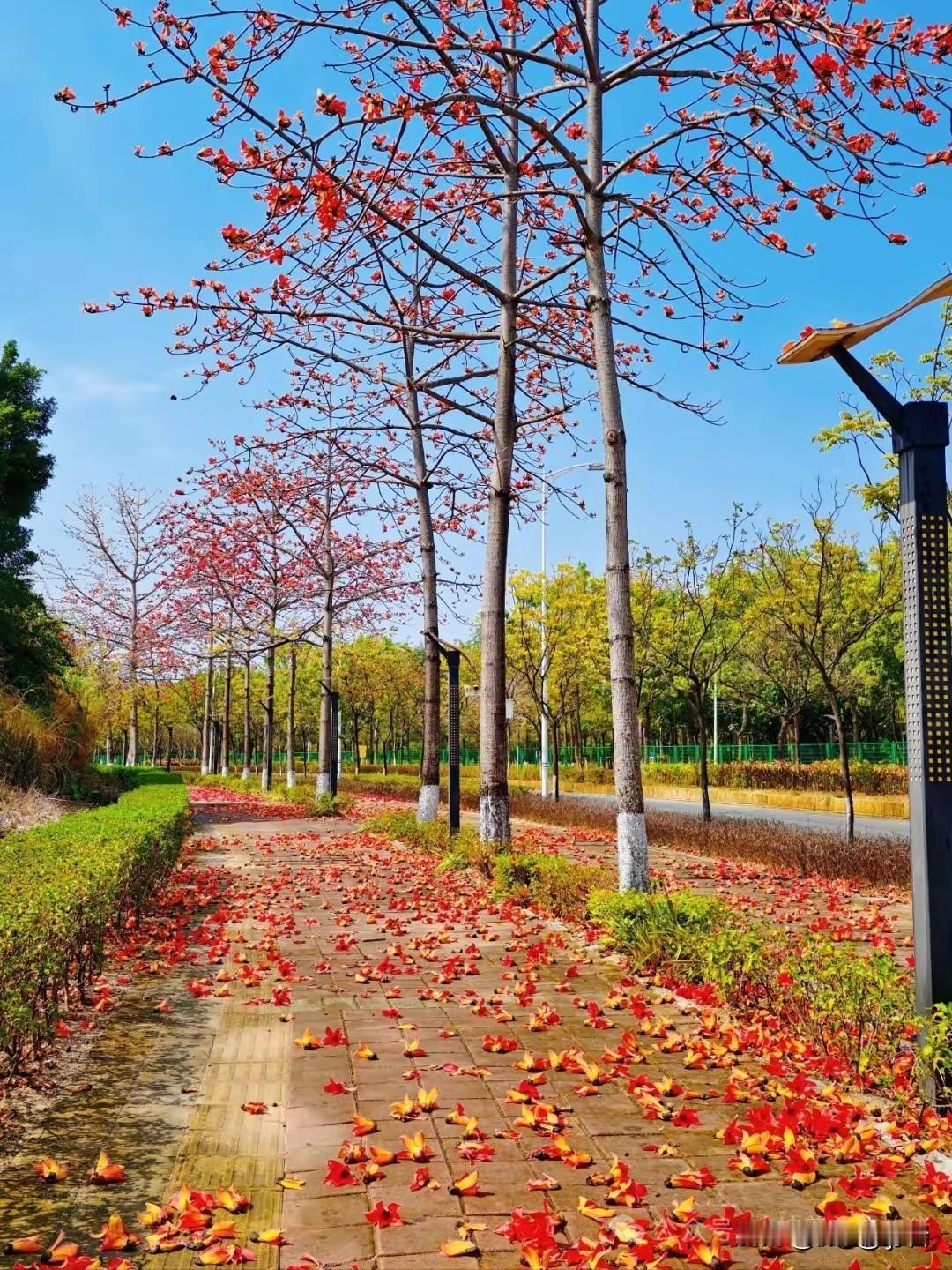 人体最好的养生方法
 
一、饮食养生
 
1. 三餐规律，七八分饱，不暴饮暴食