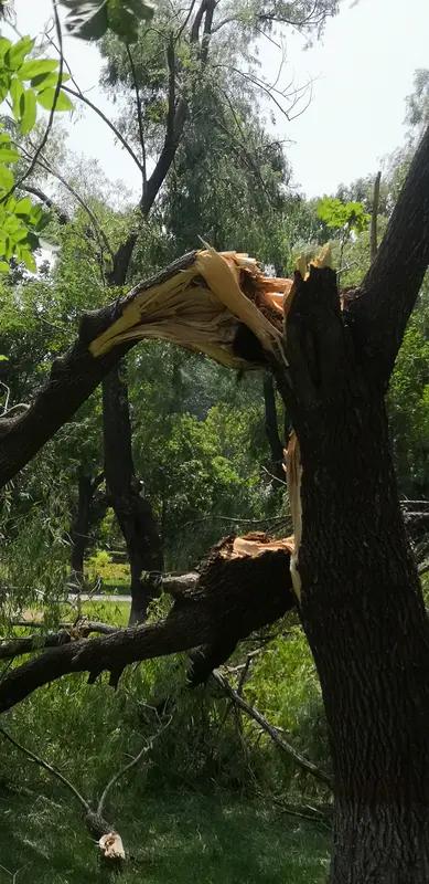 风摇竹叶清？恳上联