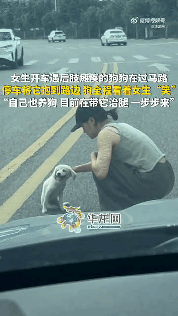 四川成都，一个普通的下午，一女孩开着车在路上正常行驶，突然，她看到前方路面上有个