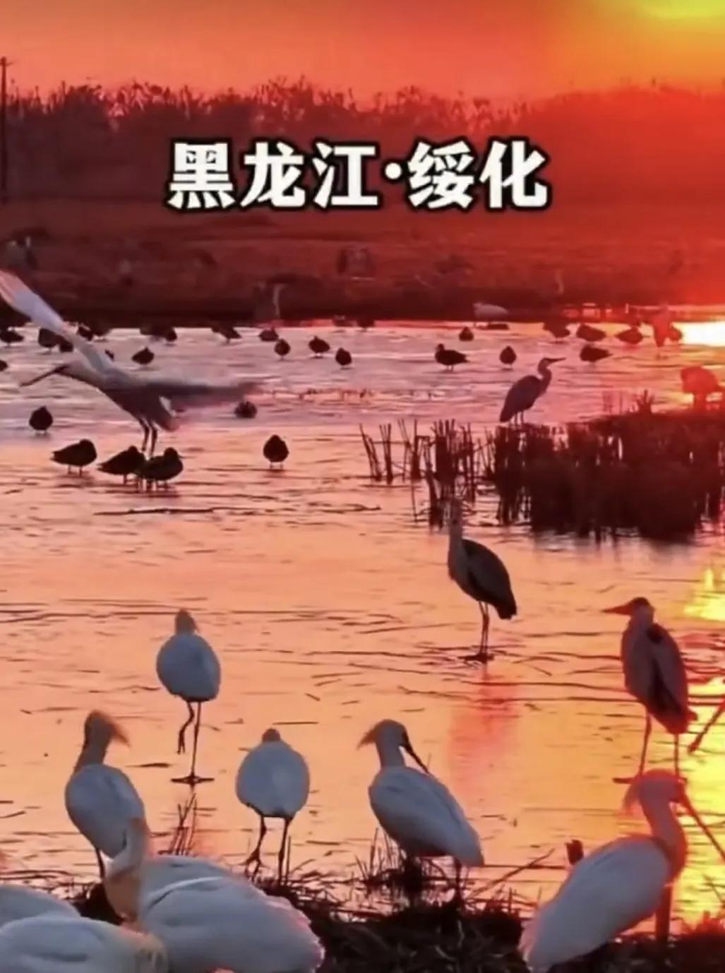 健康小常识：中医认为，心血管疾病多属 “胸痹”“心痛” 范畴。

天气变凉时，“