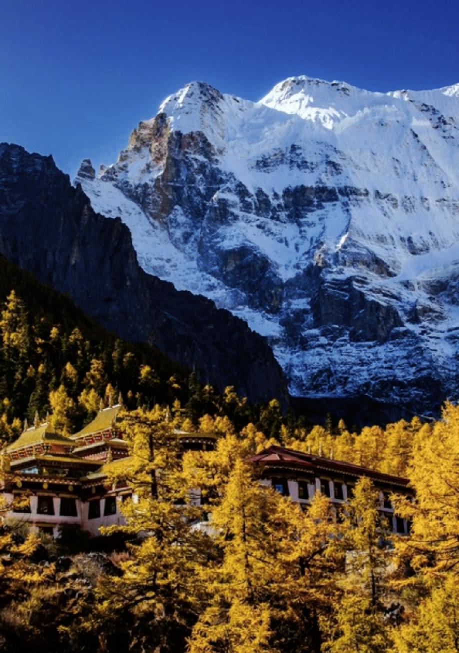 一段很通透的话：
“从某种意义上来看，世间一切，都是遇见。就像，冷遇见暖，就有了