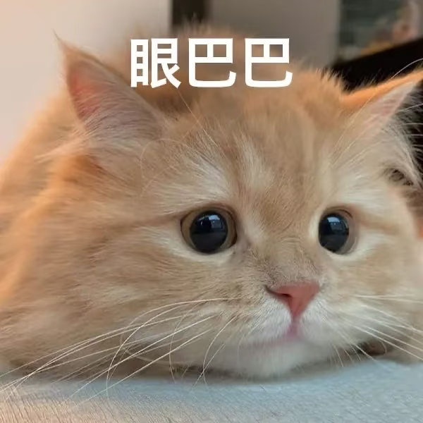 我已到家严肃等待好欢螺直播中 