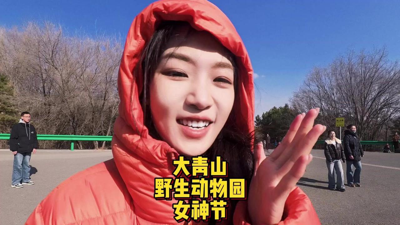 👩💼女神节来大青山野生动物园超治愈！呼市的姐妹们，三八节来大青山野生动物园真