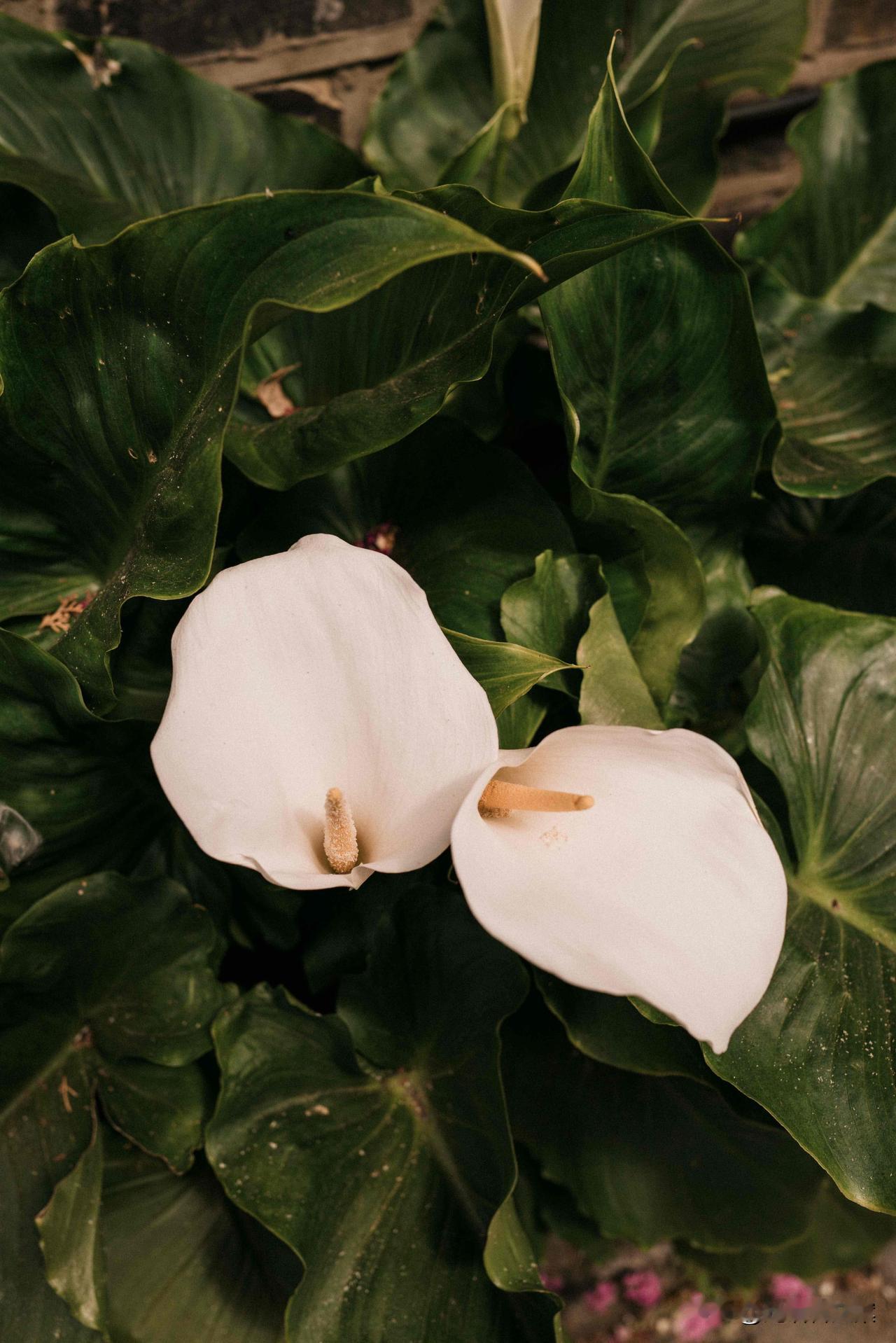 没有人会一直都正确，所以铅笔的另一头才会是橡皮。