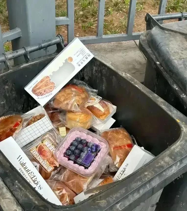 看到垃圾箱里那么多面包扔了太可惜了。楼下面包店每天都会把剩下的一点蛋糕给扔了，我