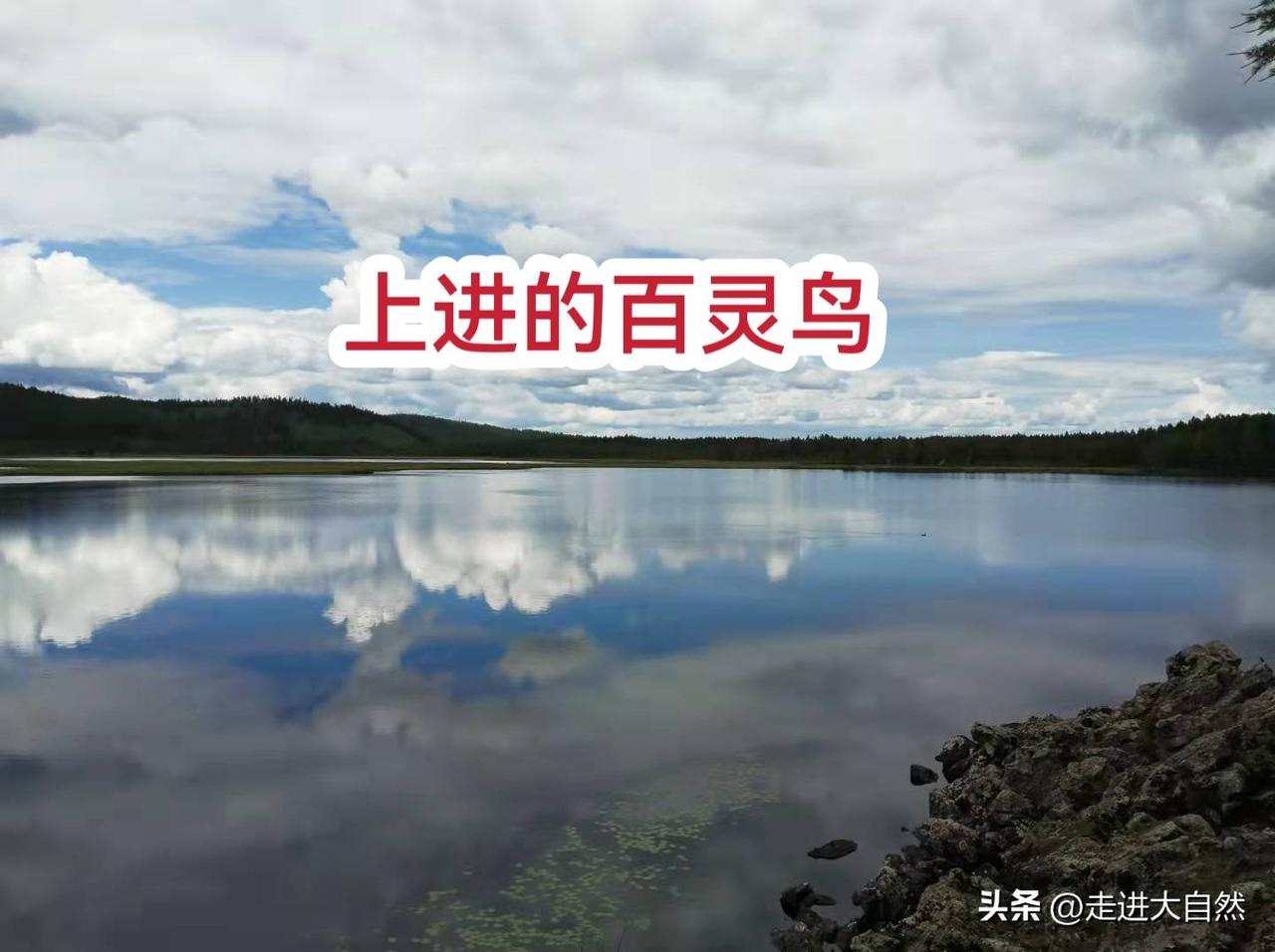 快来看看我新换的主页背景吧