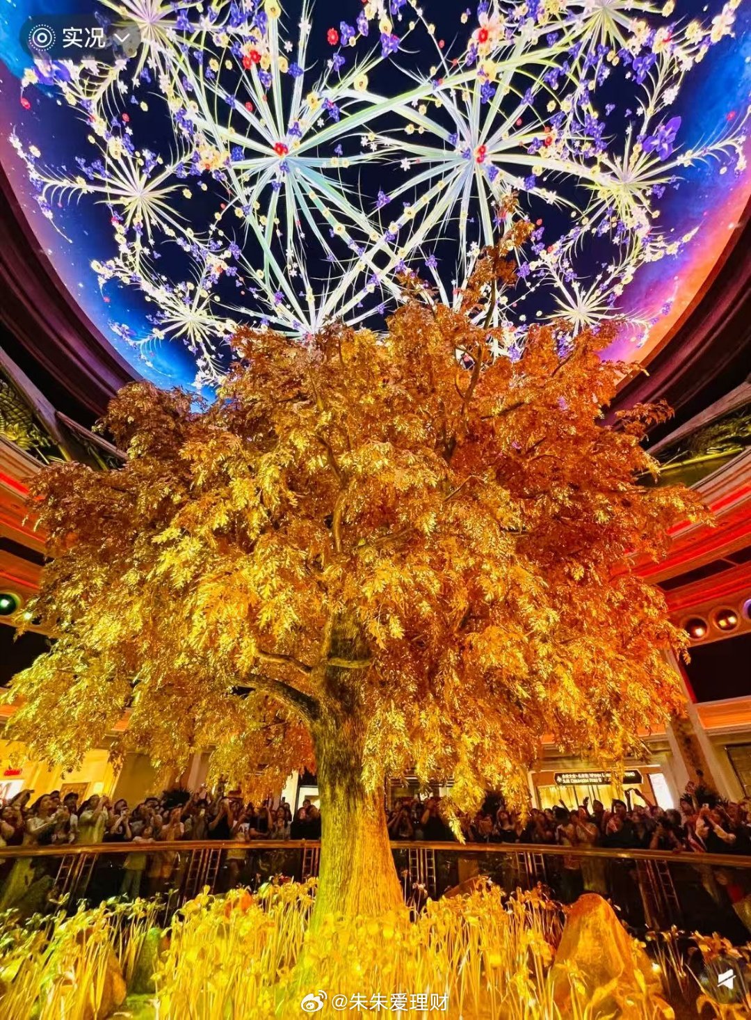 算力租赁涨价NB­IS大涨，to­k­en套餐／工厂百花齐放势头，重视产业链核心