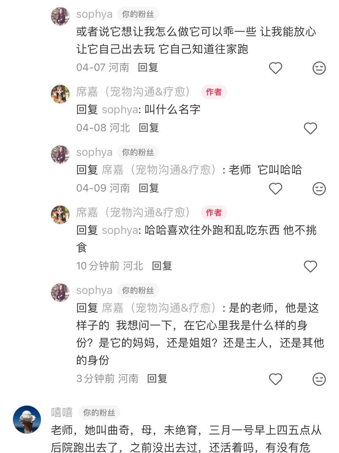 宠物沟通｜宠物乱吃东西一定要制止哦