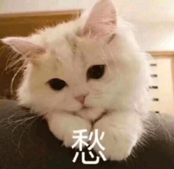 这咋猫猫也随主人的嘛[可怜]我肠胃就不好，我家猫猫肠胃也不好，他但凡不好一点，我