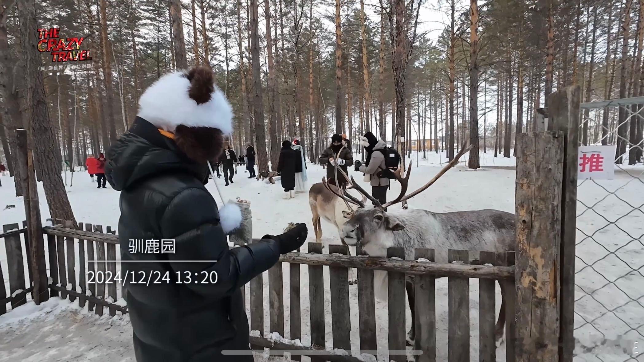 姚琛行走的漠河旅游攻略  姚琛打卡式游漠河  姚琛这趟漠河之旅，真是让人心动不已