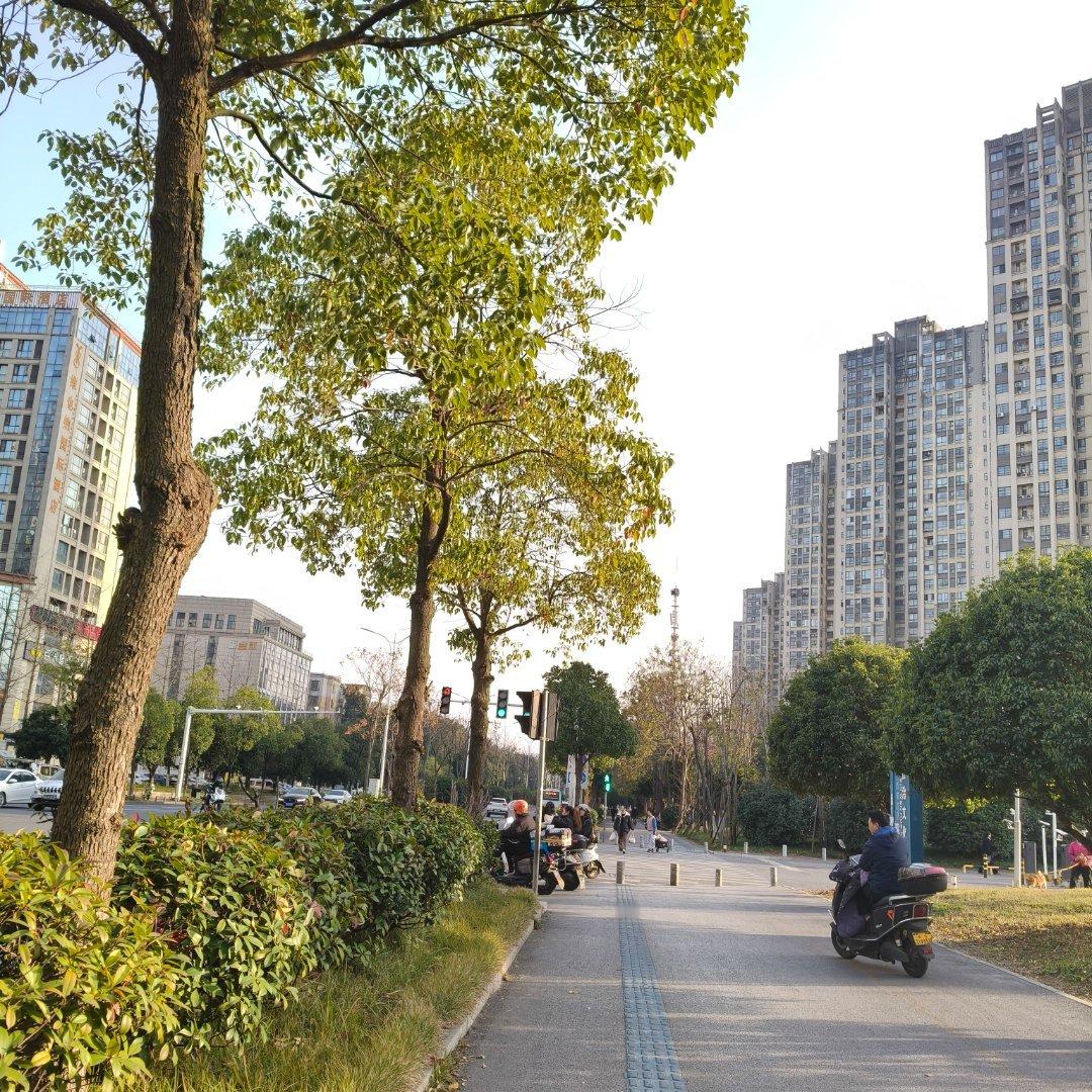 晚上好宝宝们 刷到动动 