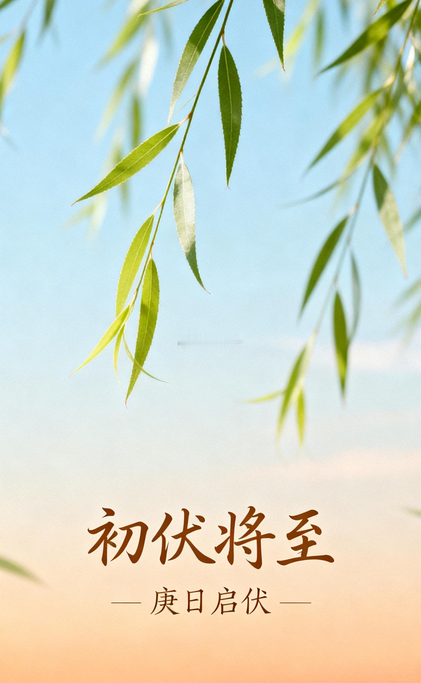 小暑这个节气，在命理上还有一层意思。在传统的干支历里，节气不只是用来看天气的，它