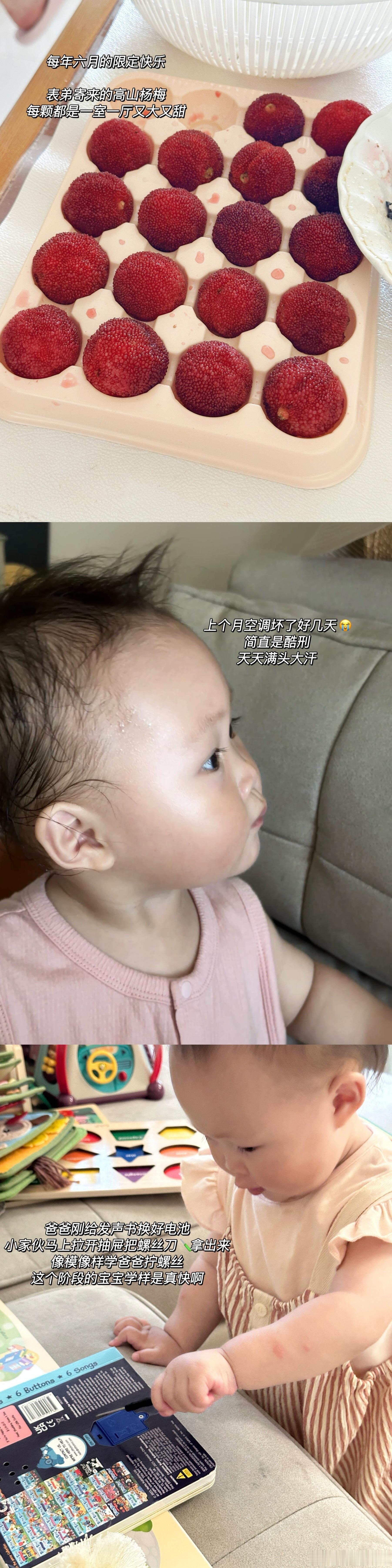Plog 66你们爱看的连续剧更新咯夏日带娃碎片～#组图故事# ​​​