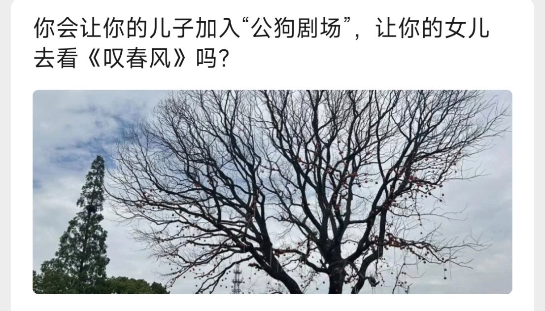 那咋办 我也看 