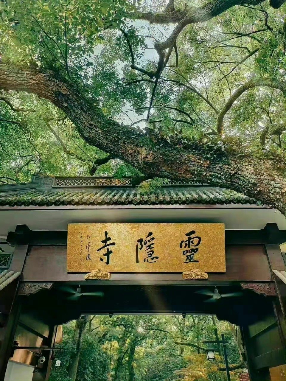 看到灵隐寺不要无视，真的很灵，逢考必过！广东省考