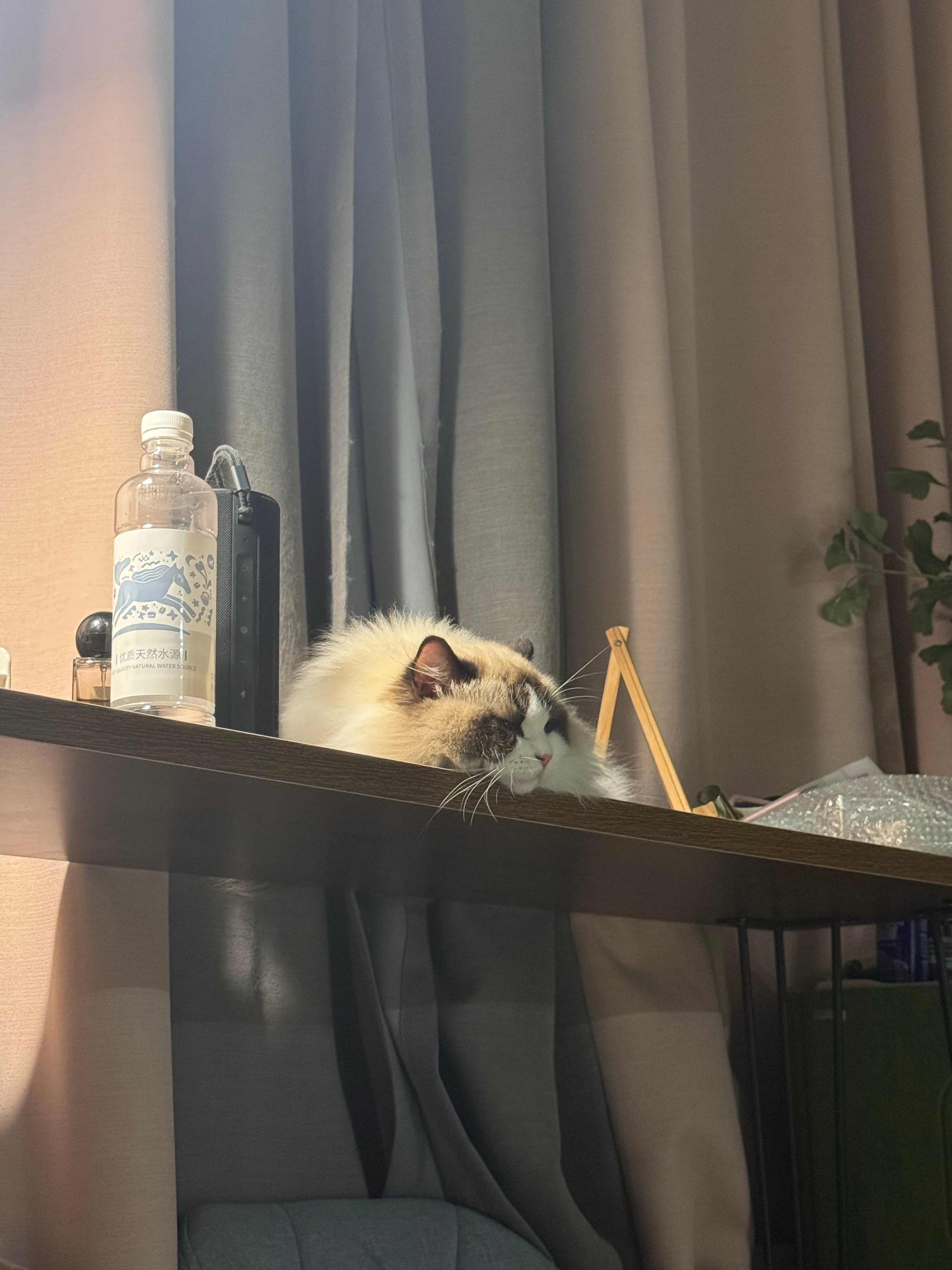 生活手记 你也有心事吗？？？？ 