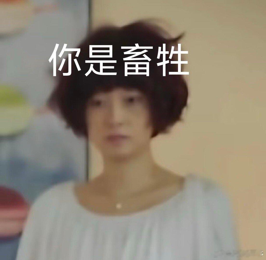 互联网脑洞玩梗太绝，陈俊生能不能去龙餐馆挡子弹，陈俊生你看看隔壁马俊生，俊生名梗