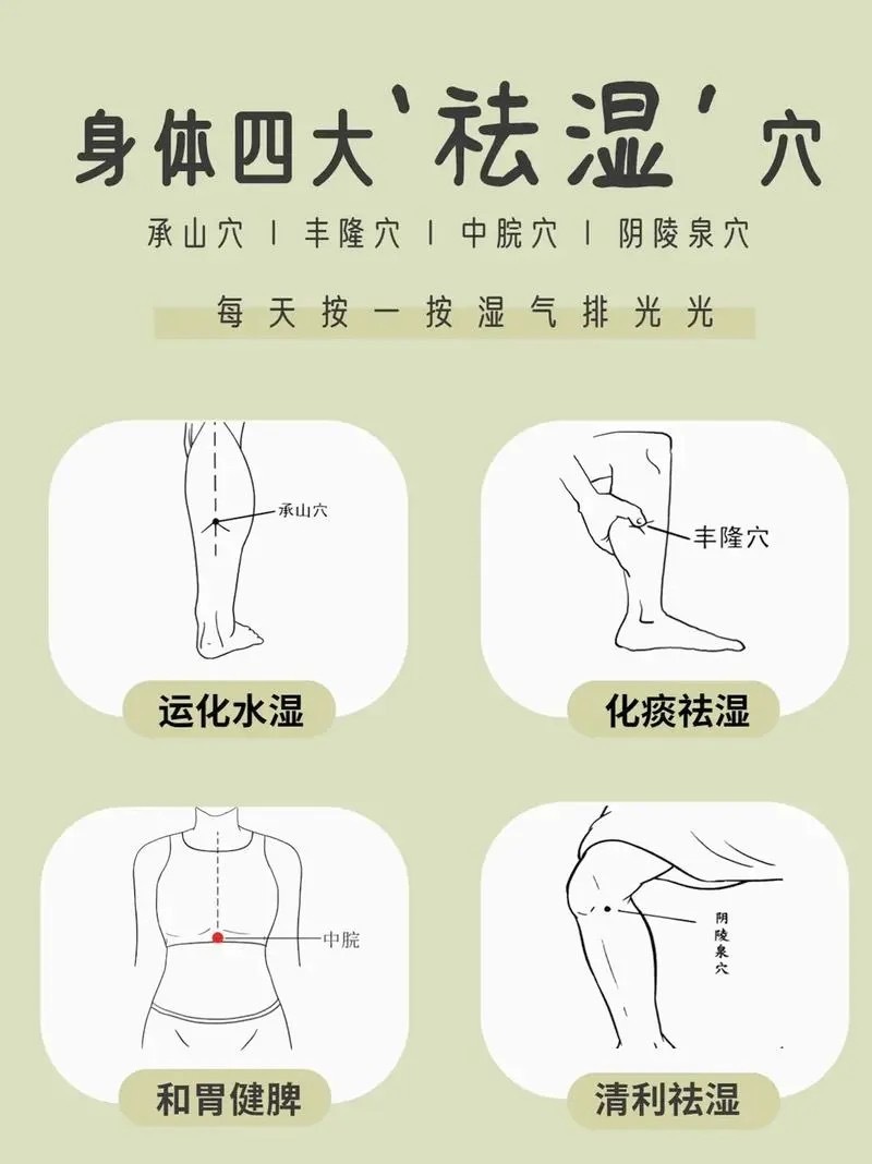 俗话说,"千寒易去,一湿难除",在我们的身体里,"湿"是一种最难祛除的东西。湿气
