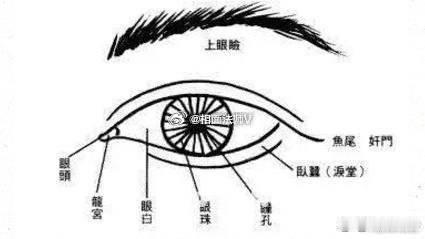眼睛代表人的贵贱，也可以说是人的社会地位。人精气神彩，都从眼睛中体现。所以人说，