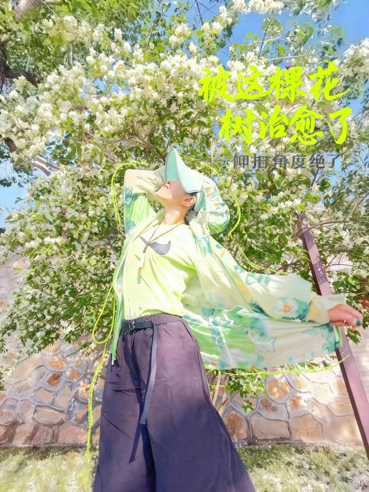 被颐和园的一颗花香四溢的树治愈了
古风树下 东方美学旅行照 颐和园