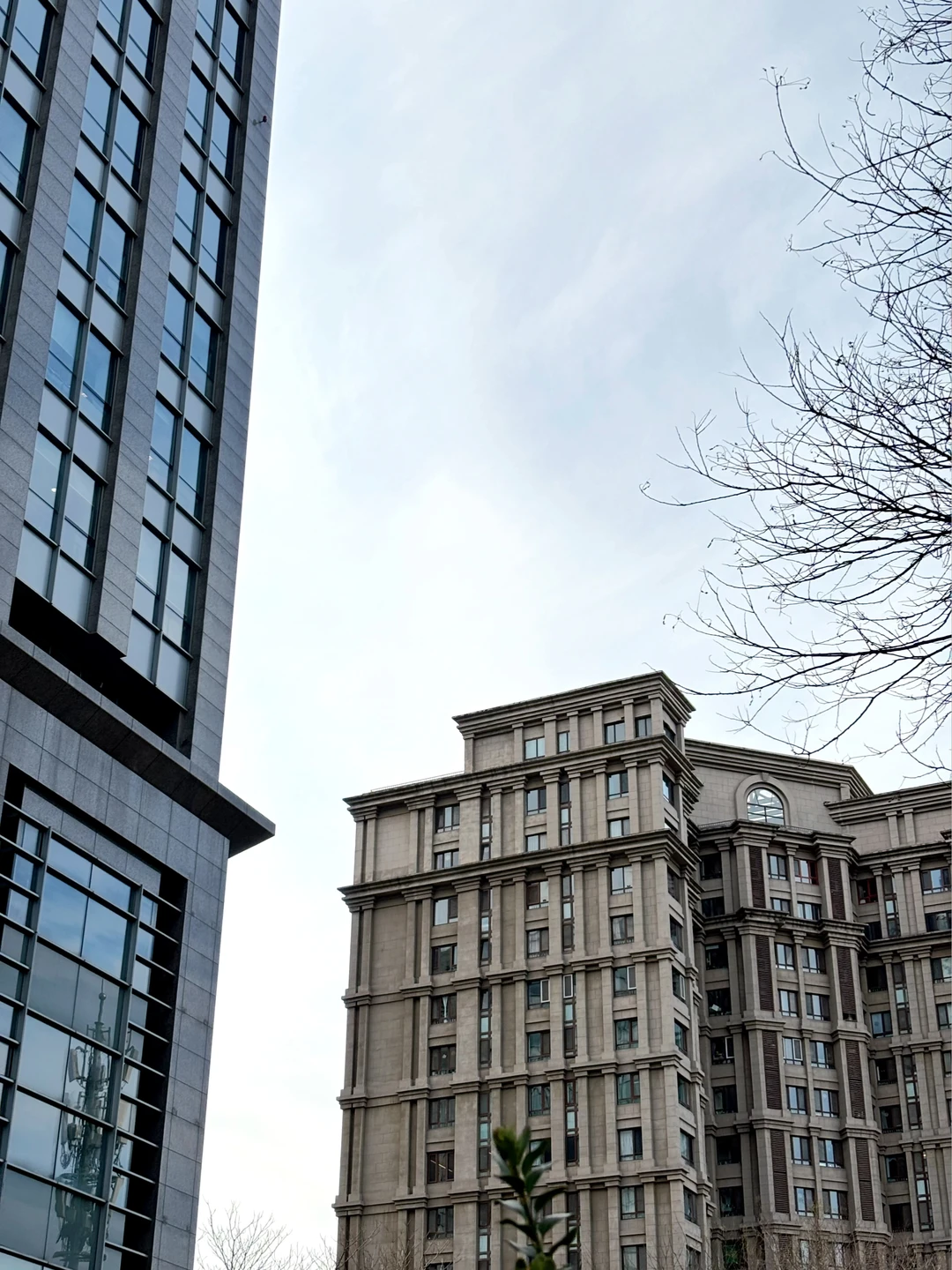 我发现当女生过了情关之后遇见的都是优质男