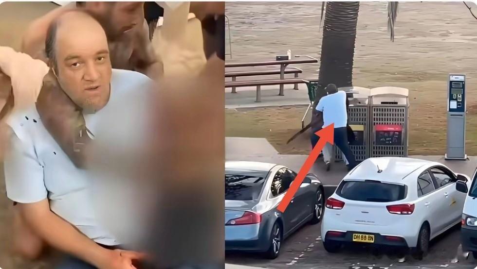 锁喉夺枪英雄找到了！

他叫艾哈迈德，今年43岁。

是一家水果店老 板，两个孩