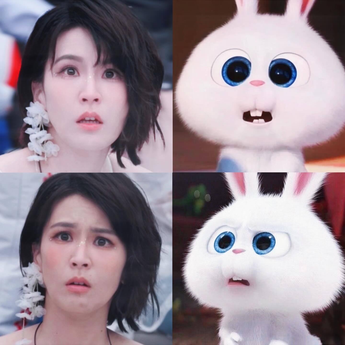 此萌物我要收藏😌曾沛慈