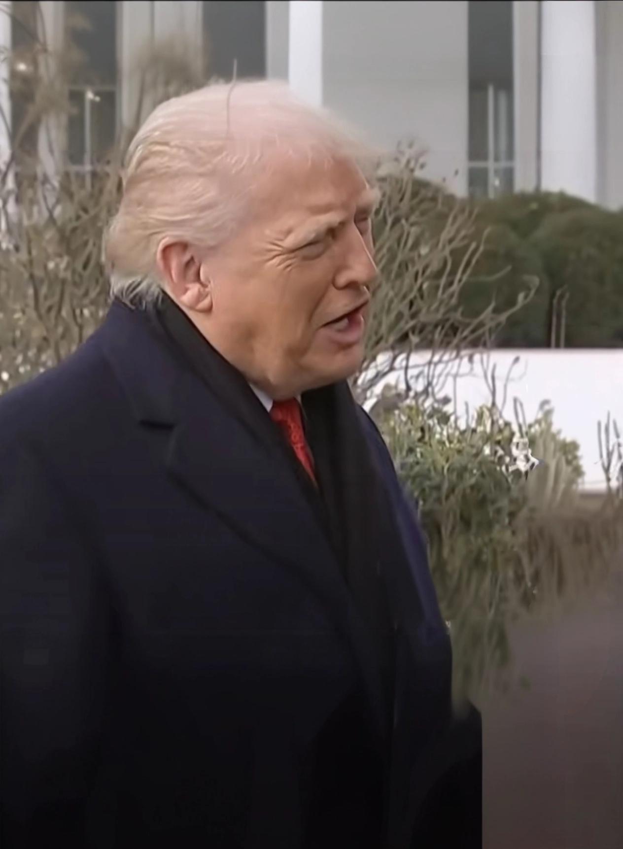 特朗普“关税大棒”的神奇作用：
1.协助强买
特朗普向反对美国购买格陵兰岛的国家