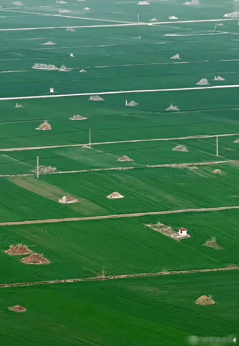 这也许就是不推行土葬的原因吧？ 