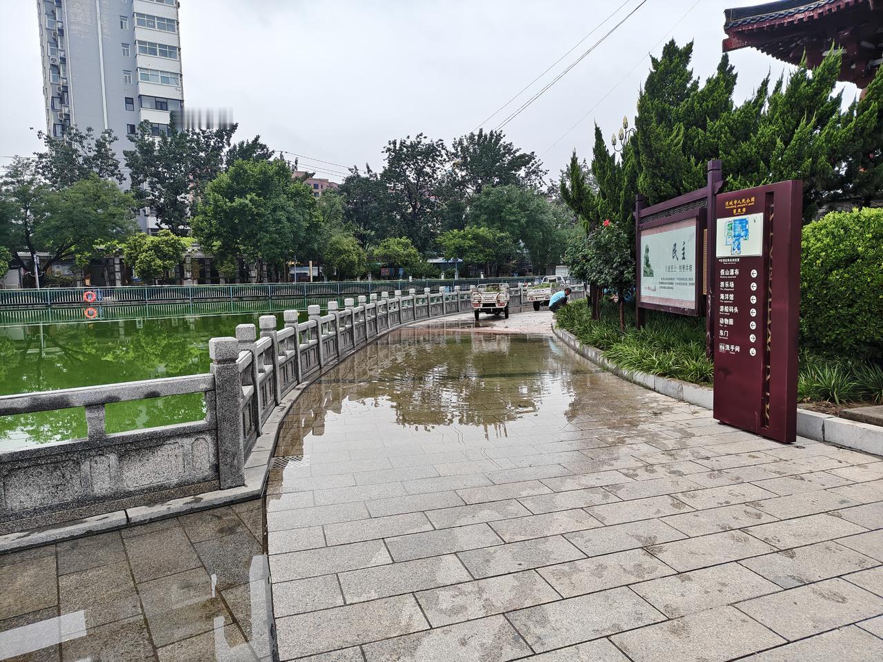 昨晚，运城盐湖区突降暴雨，哗啦啦，下了足有2个多小时吧！

今早7点多，我到运城