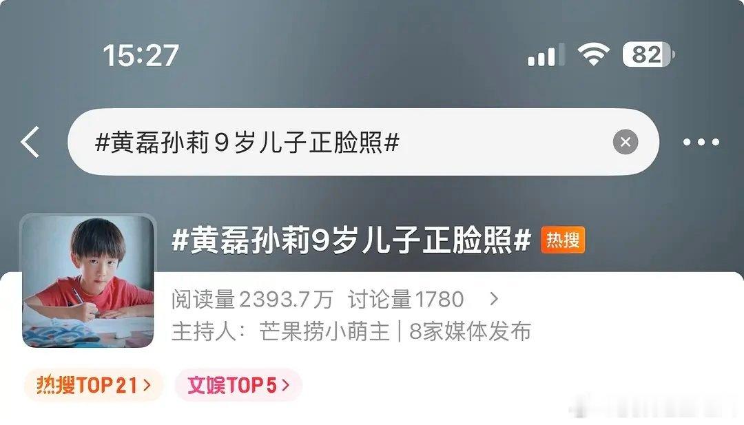 黄磊孙莉的儿子 