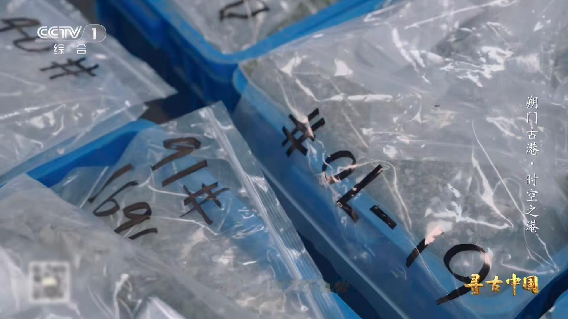 古人也吃血蛤瓯越美食底蕴有多深厚？早在千年前，当地先民就食用血蛤，饮食习惯代代相