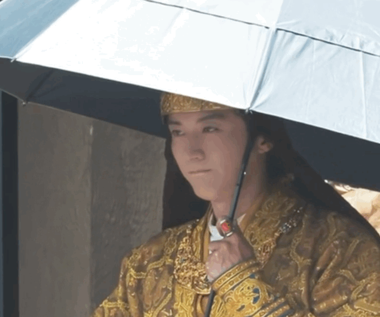 今日无雨🐱 