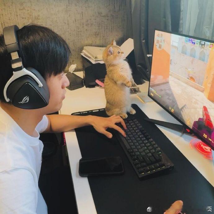 #周冠宇打CS# 打CS，猫咪好萌。[爱你]#满载中国力量冠宇继续前进# ​​​